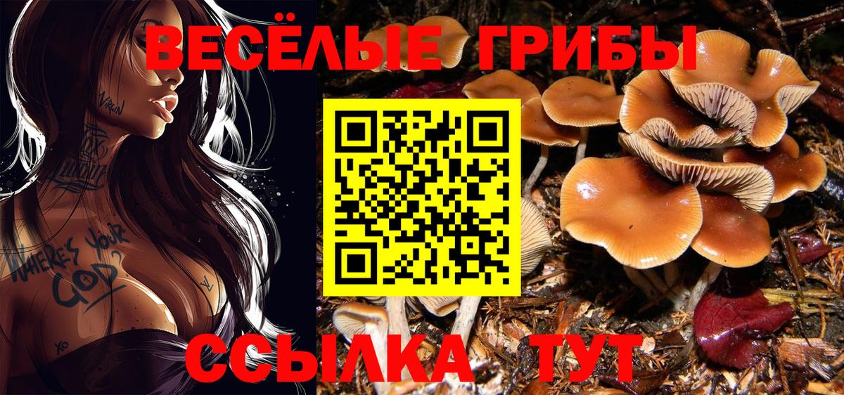 Псилоцибиновые грибы Cubensis Рязань